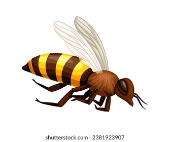 Cute bee sticker. Yellow and black striped insect with wings, bumblebee. Zoology and biology. Graphic element for website. Cartoon flat vector illustration isolated on white background