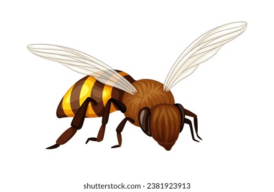 Cute bee sticker. Yellow and black insect with wings, bumblebee. Zoology and biology. Wild life and fauna. Poster or banner. Cartoon flat vector illustration isolated on white background