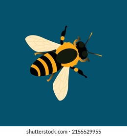 Obra de arte vectorial Cute Bee e ilustración