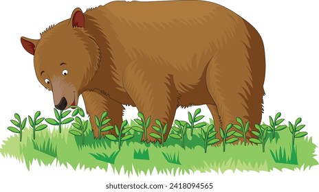 A cute beer eating grass