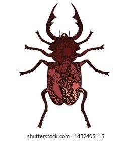 Cute beetle, bug character for your design