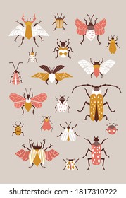 Cute beetles vector poster for room decoration.