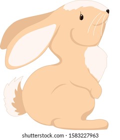 Cute beige bunny with big ears looks up, separate element.