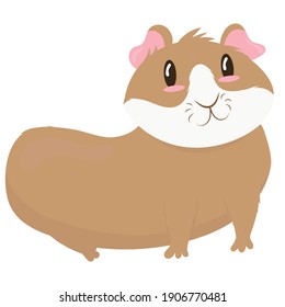 cute beige guinea pig with white fur on the muzzle with pink ears and cheeks, side view, cute domestic rodent, vector illustration in flat style