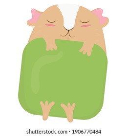 cute beige guinea pig with white fur on the face with pink ears and cheeks lies under a green blanket and sleeps, cute domestic rodent, vector illustration in flat style