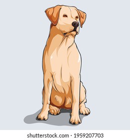 Cute beige Labrador retriever dog sitting illustrated with colorful shadows and lights isolated on white background 