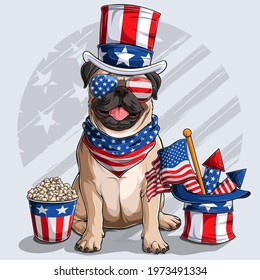 Cute beige Pug dog sitting with American independence day elements 4th of July and memorial day 