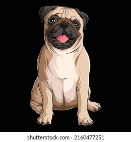 Cute beige Pug dog sitting