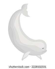 diseño beluga lindo sobre blanco