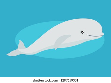 Cute beluga whale icon, funny white Arctic cetacean, isolated on blue background, marine mammal, vector illustration