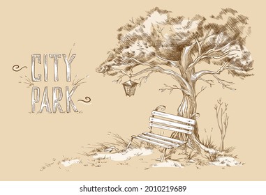 Cute bench under crown tree with lantern in park or garden. Beautiful design card with lyric romantic mood. Vector sketch hand drawn illustration.