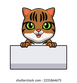 Cute bengal cat cartoon holding blank sign