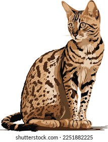Cute bengal cat clipart sitting down vector