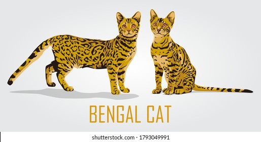 Cute bengal cat vector illustration