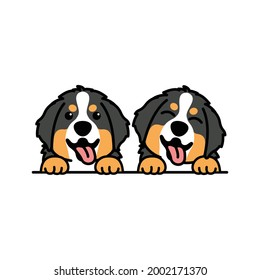 Cute bernese mountain puppy cartoon, vector illustration