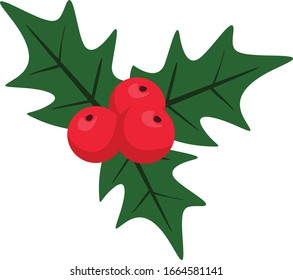 cute berry christmas accesories vector design