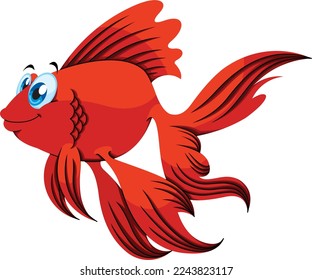 cute betta fish white background