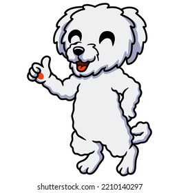 Cute bichon frise cartoon giving thumb up