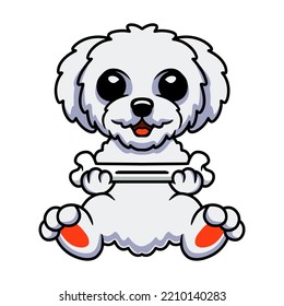 Cute bichon frise cartoon holding a bone