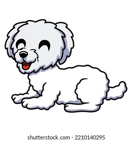 Cute bichon frise cartoon laying down