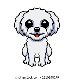 Cute bichon frise cartoon sitting