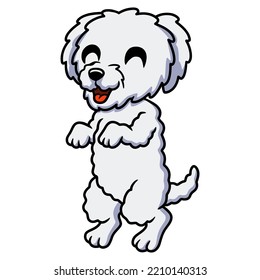 Cute bichon frise cartoon standing