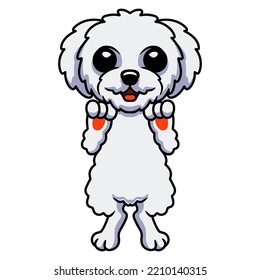Cute bichon frise cartoon standing