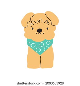 Cute Bichon Frise. Vector illustration on white background.