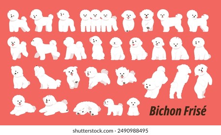 Cute Bichon Frize. A collection of active and diverse movements.