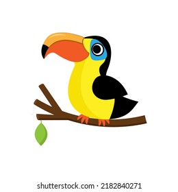 Cute große Schnabel Cartoon Toucan Vogel Vektorgrafik.