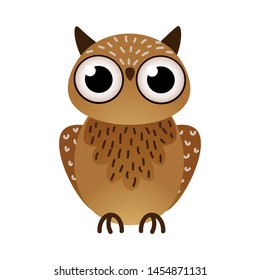 Cute big brown owl bird with black eyes