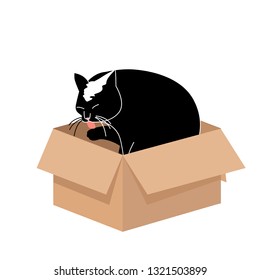 Cute Big Cat Licking A Paw In A Small Cardboard Box. Simple Illustration For Cards Or Prints, Vector Icon For Web Design