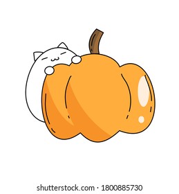 Cute big cat with pumpkin