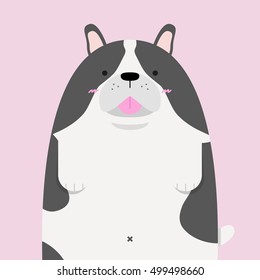 cute big fat French Bulldog on pink background