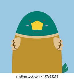cute big fat green head duck on light blue background