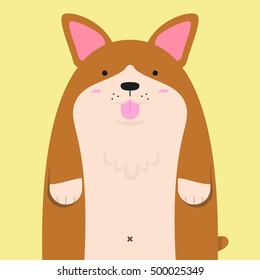 cute big fat Welsh Corgi dog on yellow background