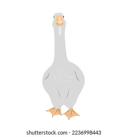 Cute big goose on white background. Flat vector design isolated on white.