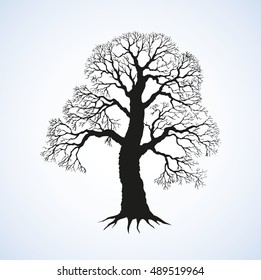 Cute big mighty deciduous tree isolated on white backdrop. Black monochrome ink hand drawn picture sketchy in art retro style pen on paper with space for text on sky