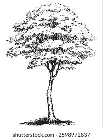 Cute big mighty green deciduous tree with lush leaves in thick grass. Vector monochrome freehand sketchy linear ink drawn backdrop in style pen on paper with space for text on sky
