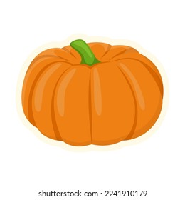 Cute big orange pumpkin isolated on white background. Autumn flat vector illustration. Autumn or fall concept