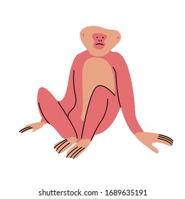 Cute big red monkey with yellow hair sitting vector illustration