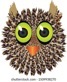 cute big surprised brown owl