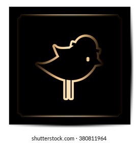 cute bird
