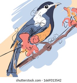 Cute bird with abstract background