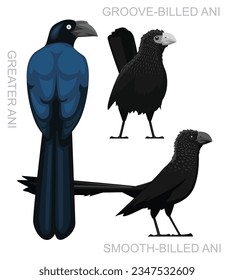Cute Bird Ani Set Cartoon Vector