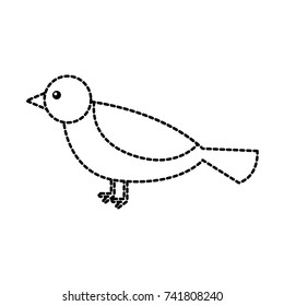 cute bird animal forest wild