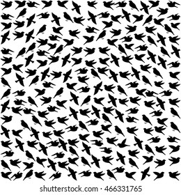 cute bird animal isolated vector illustration icon