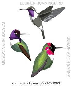 Cute Bird Anna's Hummingbird Set Cartoon Vector