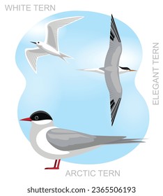 Cute Bird Arctic Tern Set Cartoon Vector