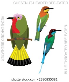 Cute Bird Asean Bee-Eater Set Cartoon Vector